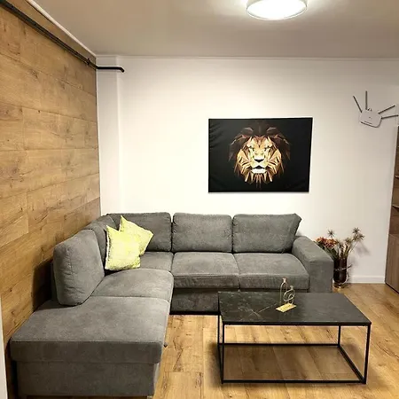 Apartment Feel In By Ali Brasov